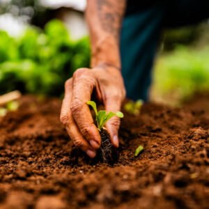 Agricultural & Fertilizer Chemicals